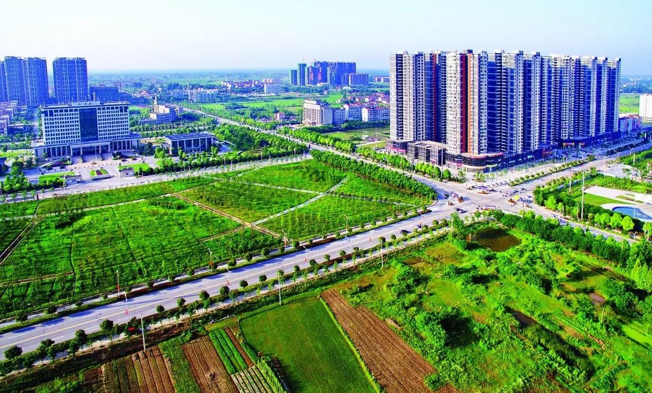 行走监利，寻根文化之旅——感受家乡巨变，传承文化自信