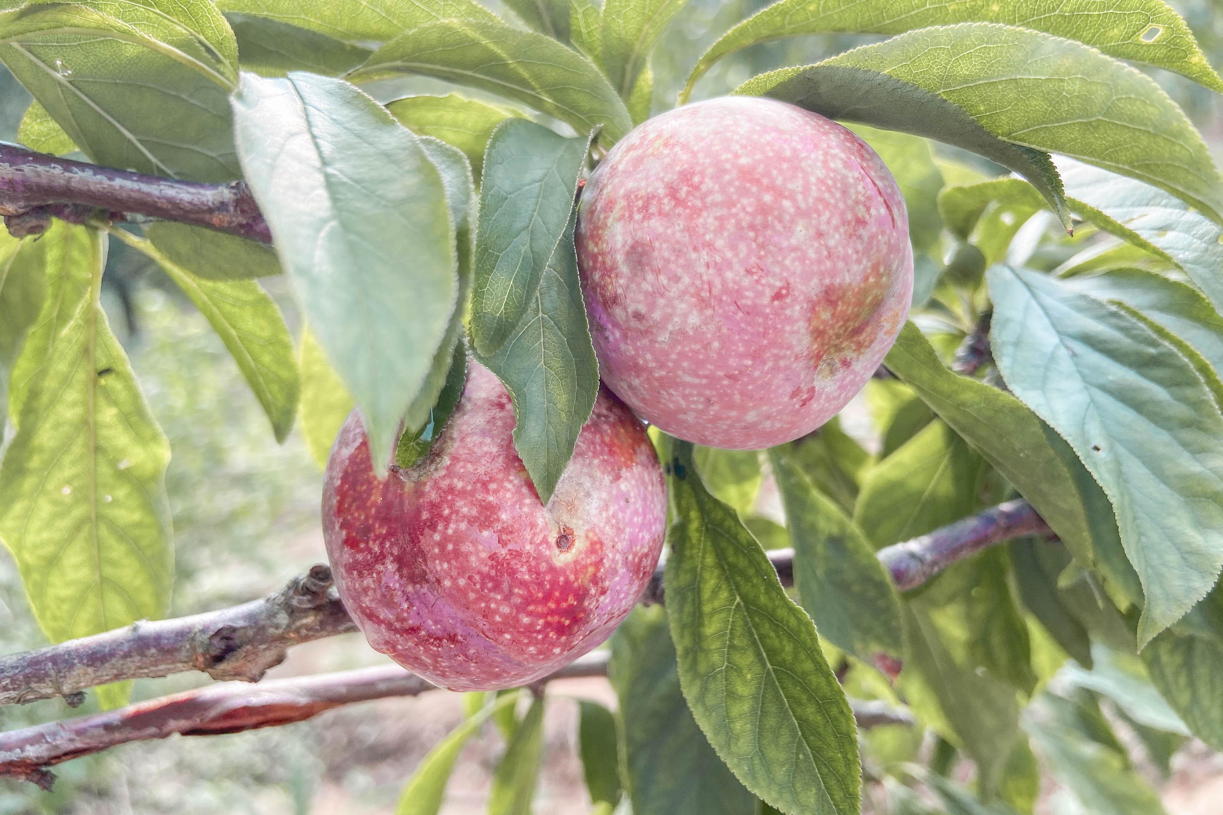 翁源小镇，暖阳下的宁静时光