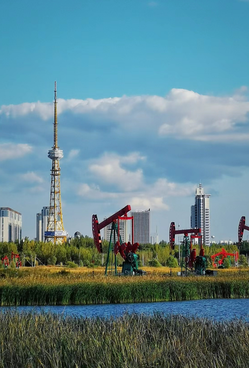大庆，石油之都的繁荣与未来展望展望